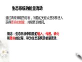 高中生物选择性必修二 3 2生态系统的能量流动课件PPT