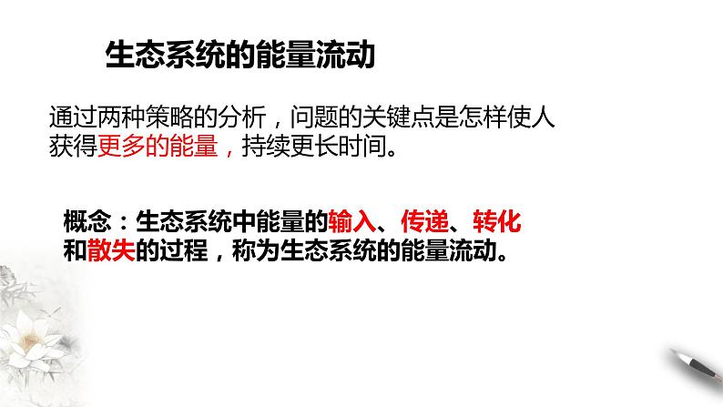 高中生物选择性必修二 3 2生态系统的能量流动课件PPT第3页