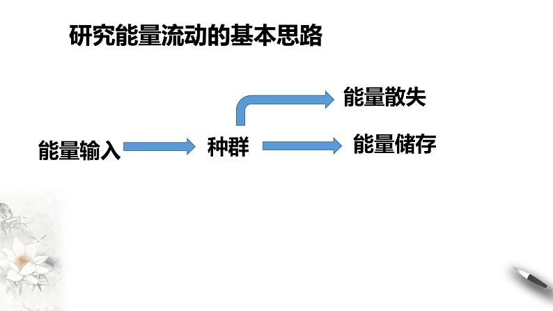 高中生物选择性必修二 3 2生态系统的能量流动课件PPT第4页