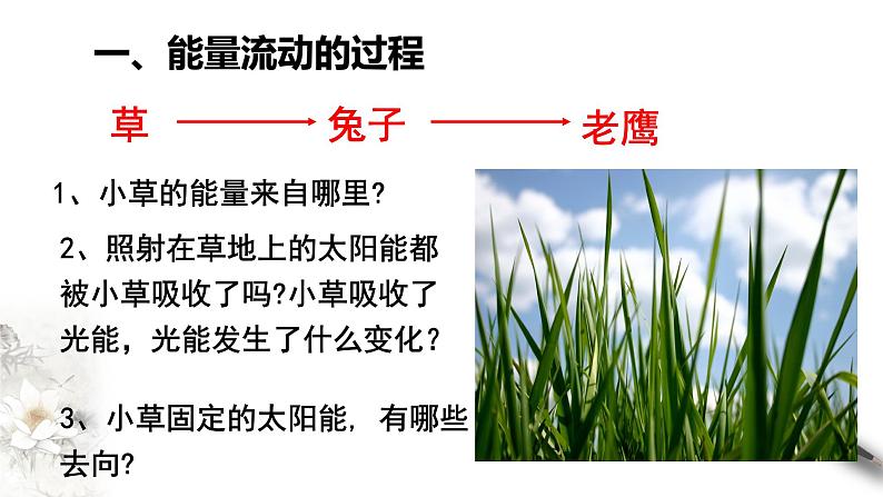 高中生物选择性必修二 3 2生态系统的能量流动课件PPT第5页