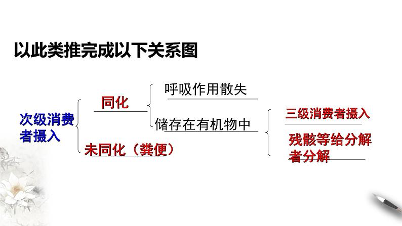 高中生物选择性必修二 3 2生态系统的能量流动课件PPT第8页