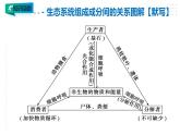 高中生物选择性必修二 3 3 生态系统的物质循环课件PPT