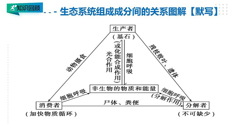 高中生物选择性必修二 3 3 生态系统的物质循环课件PPT第2页