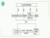 高中生物选择性必修二 3 3 生态系统的物质循环精讲课件练习题