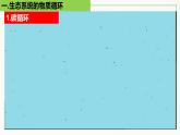 高中生物选择性必修二 3 3 生态系统的物质循环精讲课件练习题