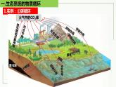 高中生物选择性必修二 3 3 生态系统的物质循环精讲课件练习题