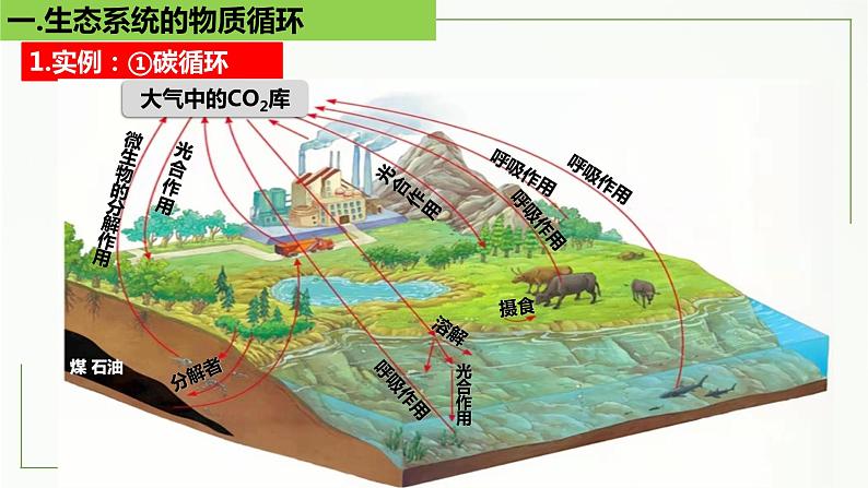 高中生物选择性必修二 3 3 生态系统的物质循环精讲课件练习题第5页