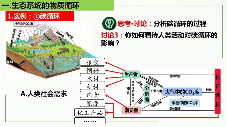 高中生物选择性必修二 3 3 生态系统的物质循环精讲课件练习题第8页