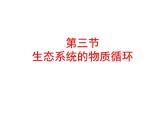 高中生物选择性必修二 3 3生态系统的物质循环 课件练习题