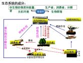 高中生物选择性必修二 3 3生态系统的物质循环 课件练习题