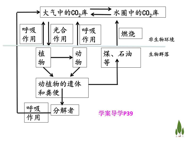 高中生物选择性必修二 3 3生态系统的物质循环 课件练习题第6页