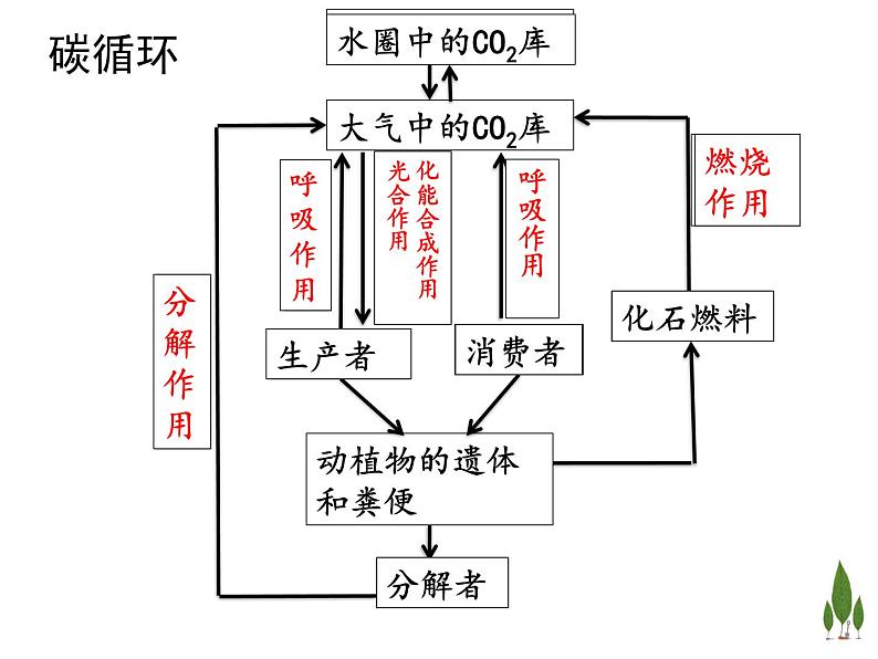 高中生物选择性必修二 3 3生态系统的物质循环 课件练习题第7页