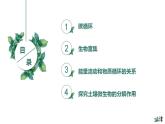 高中生物选择性必修二 3 3生态系统的物质循环（第二课时）精品课件练习题