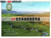 高中生物选择性必修二 3 4 生态系统的信息传递精讲课件练习题