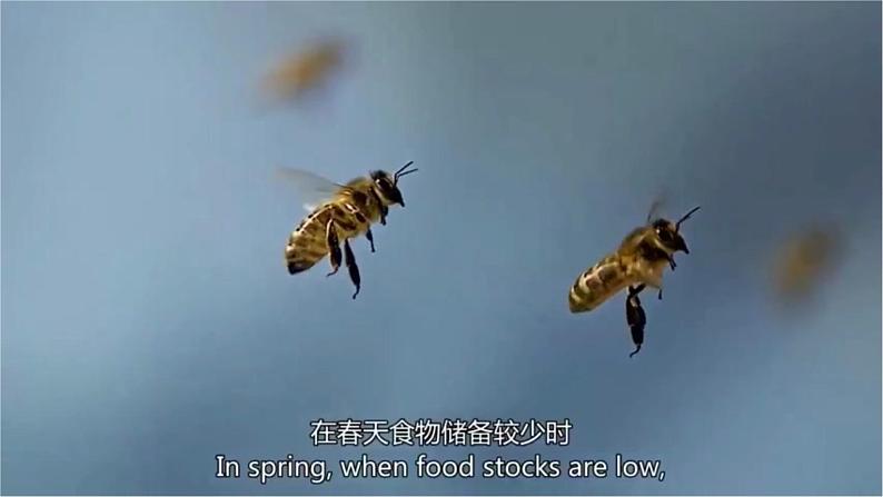 高中生物选择性必修二 3 4 生态系统的信息传递精讲课件练习题04