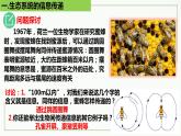 高中生物选择性必修二 3 4 生态系统的信息传递精讲课件练习题