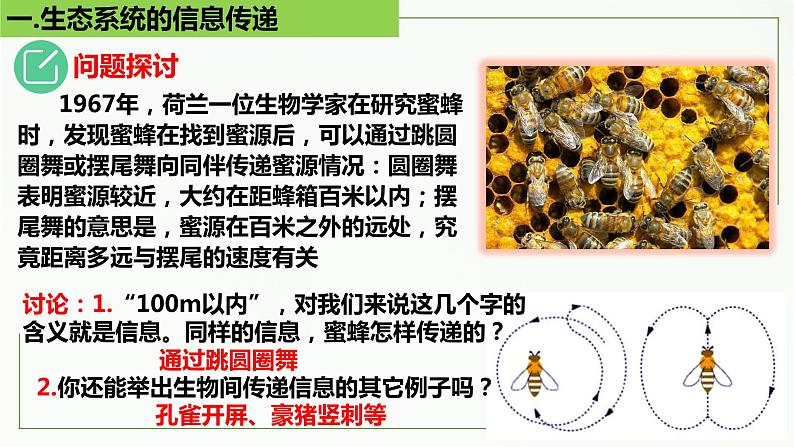 高中生物选择性必修二 3 4 生态系统的信息传递精讲课件练习题05