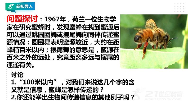 高中生物选择性必修二 3 4生态系统的信息传递课件PPT第2页