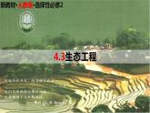 高中生物选择性必修二 4 3 生态工程精讲课件练习题