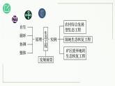 高中生物选择性必修二 4 3 生态工程精讲课件练习题
