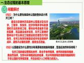 高中生物选择性必修二 4 3 生态工程精讲课件练习题