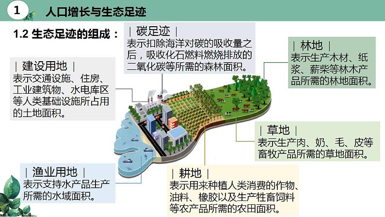 高中生物选择性必修二 4 1人类活动对生态环境的影响精品课件练习题第6页