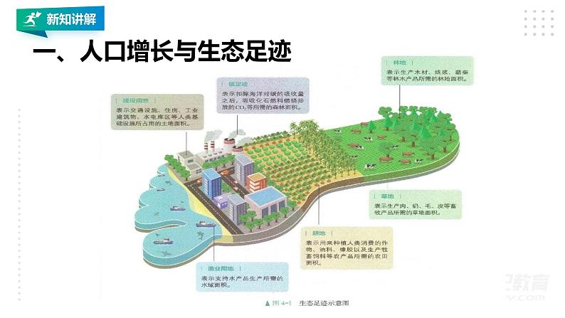 高中生物选择性必修二 4 1人类活动对生态环境的影响课件PPT05