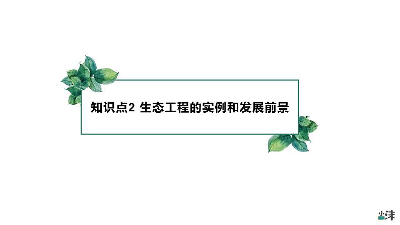 高中生物选择性必修二 4 3生态工程（第二课时）精品课件练习题03