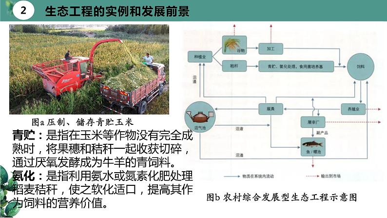 高中生物选择性必修二 4 3生态工程（第二课时）精品课件练习题05