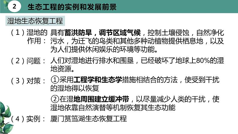 高中生物选择性必修二 4 3生态工程（第二课时）精品课件练习题07