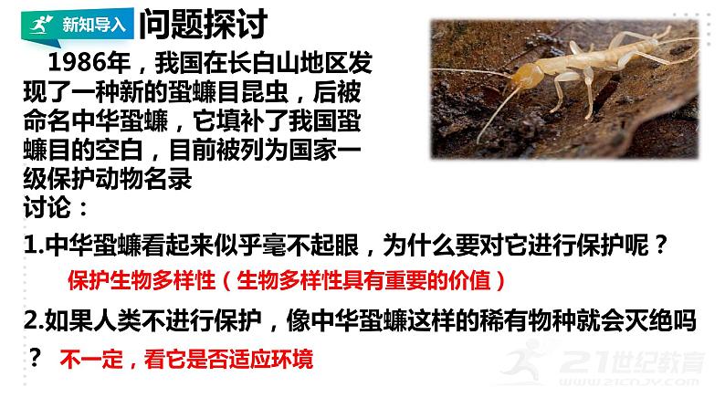 高中生物选择性必修二 4 2生物多样性及其保护课件PPT第2页