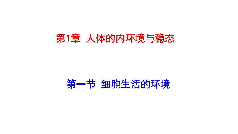 高中生物选择性必修一   高中生物 1 1 细胞生活的环境 课件练习题第1页