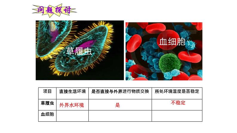 高中生物选择性必修一   高中生物 1 1 细胞生活的环境 课件练习题第2页