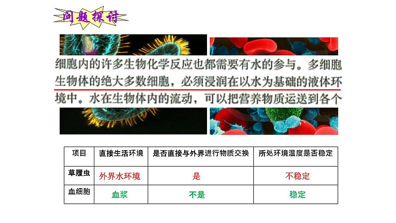 高中生物选择性必修一   高中生物 1 1 细胞生活的环境 课件练习题第3页