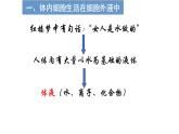 高中生物选择性必修一   高中生物 1 1 细胞生活的环境 课件练习题