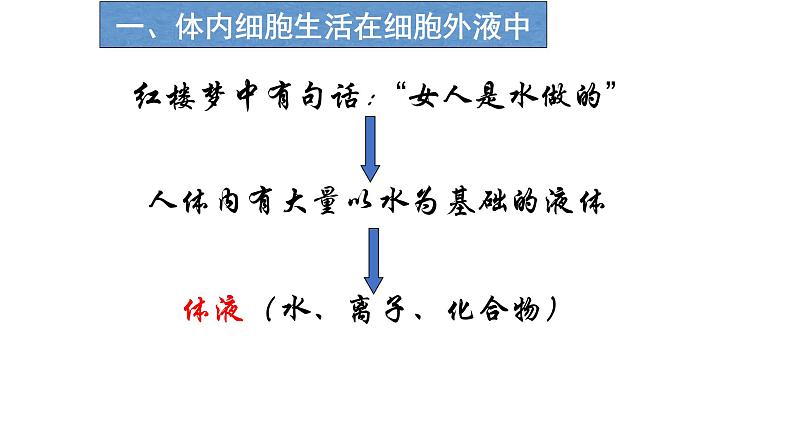 高中生物选择性必修一   高中生物 1 1 细胞生活的环境 课件练习题第4页