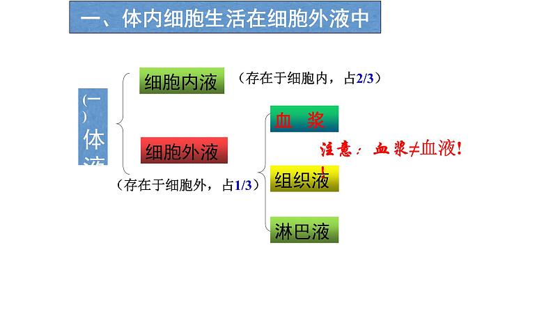 高中生物选择性必修一   高中生物 1 1 细胞生活的环境 课件练习题第5页