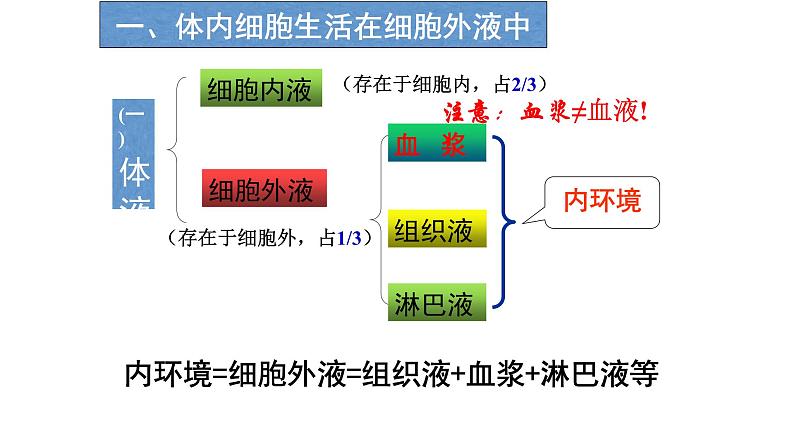 高中生物选择性必修一   高中生物 1 1 细胞生活的环境 课件练习题第8页