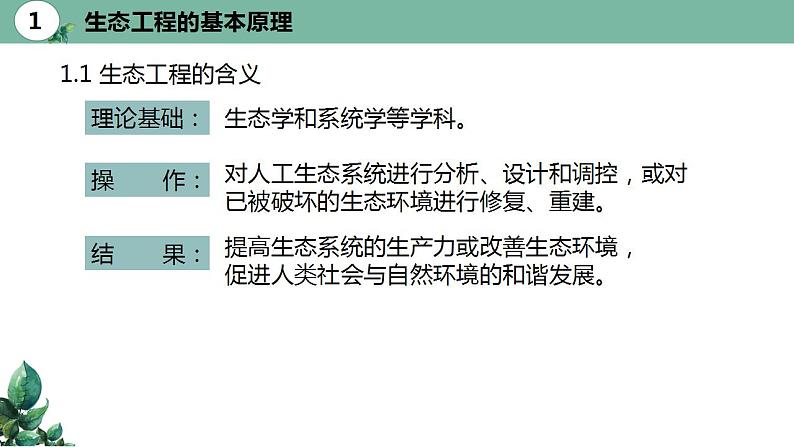 高中生物选择性必修二 4 3生态工程（第一课时）精品课件练习题第7页