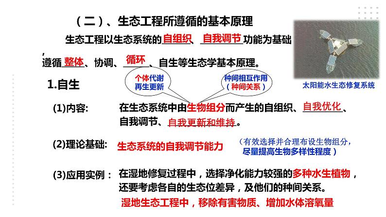 高中生物选择性必修二 4 3生态工程课件PPT第6页