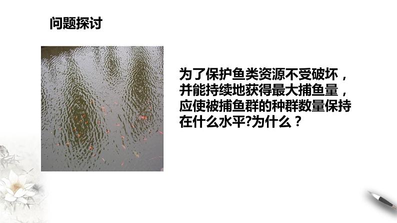 高中生物选择性必修二 第二节种群数量的变化课件PPT第4页