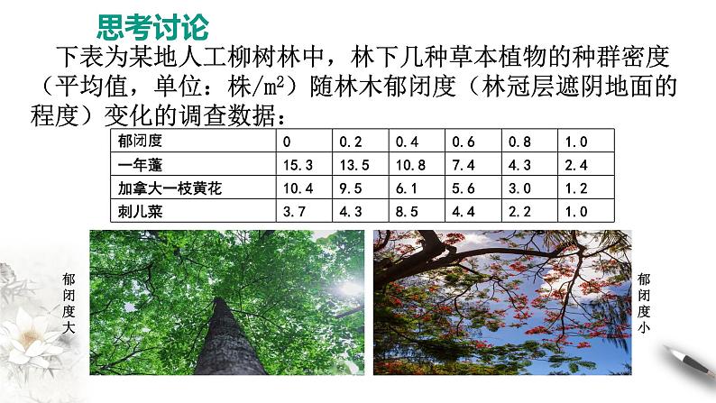 高中生物选择性必修二 第三节影响种群数量变化的因素课件PPT第6页