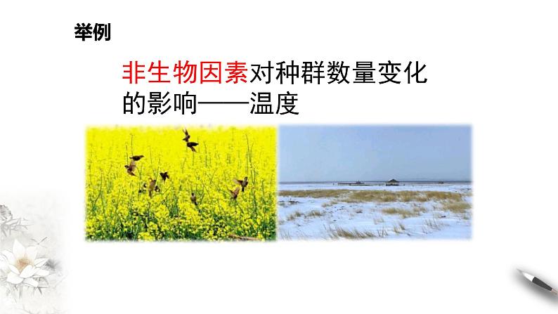 高中生物选择性必修二 第三节影响种群数量变化的因素课件PPT第8页