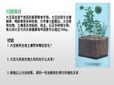 高中生物选择性必修二 高中生物选择性必修2    3 1生态系统的结构课件PPT