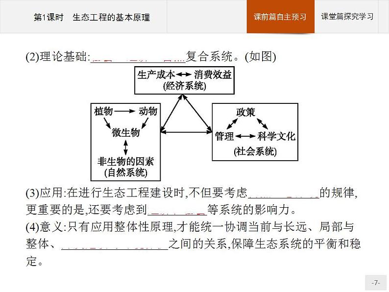 高中生物选择性必修二 课件：第4章　第3节　第1课时　生态工程的基本原理练习题第7页