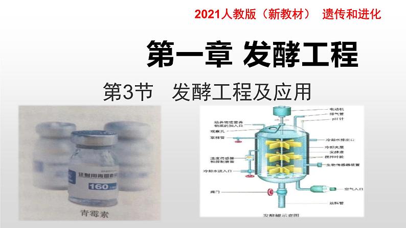 高中生物选择性必修三  1 3 发酵工程及其应用 课件练习题01