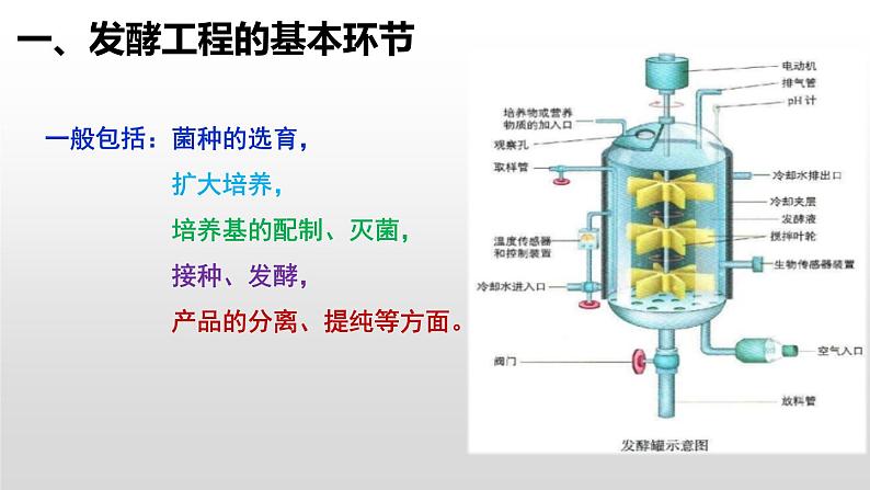 高中生物选择性必修三  1 3 发酵工程及其应用 课件练习题06