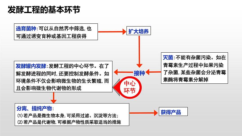 高中生物选择性必修三  1 3 发酵工程及其应用 课件练习题07