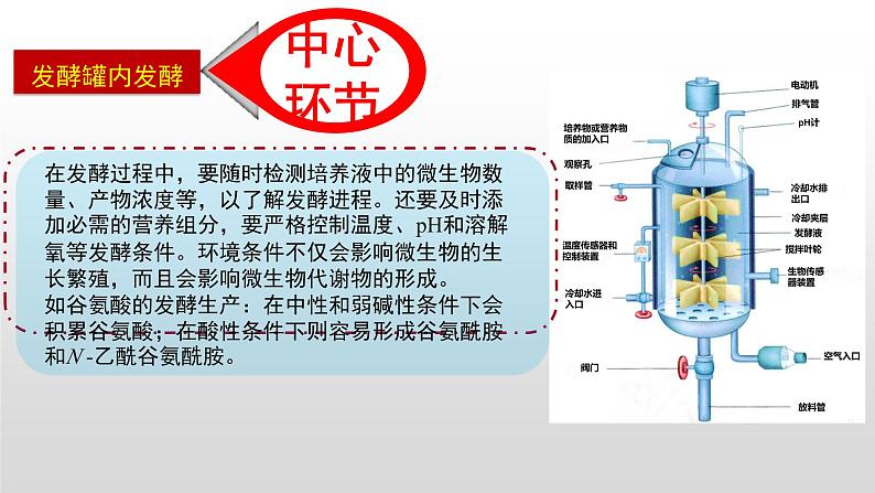 高中生物选择性必修三  1 3 发酵工程及其应用 课件练习题08