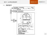 高中生物选择性必修二 课件：第3章　第3节　生态系统的物质循环练习题